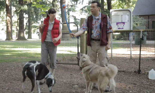 dog-park