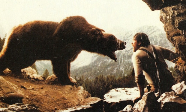 bear