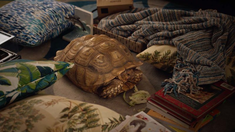 Brockmire_306B_MPX-1920×1080