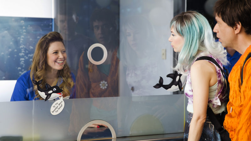 Portlandia Season 5, Sea World