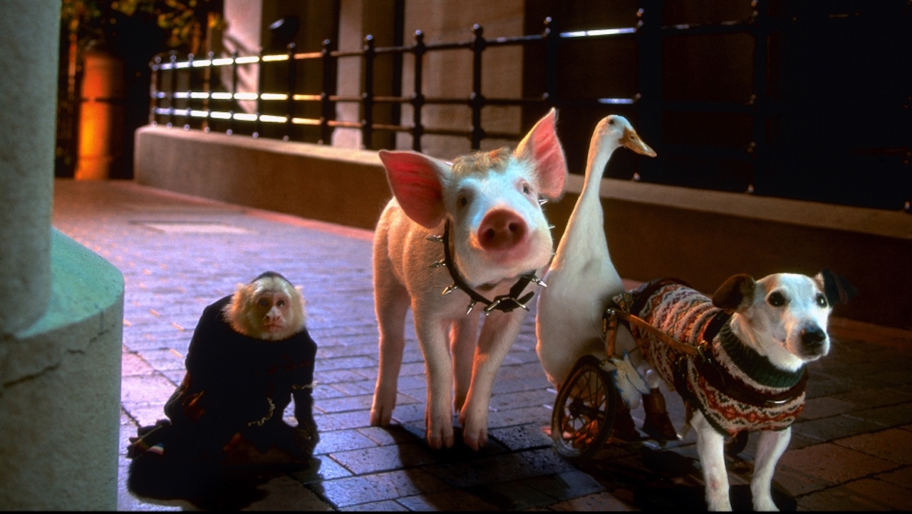 Babe: Pig in the City