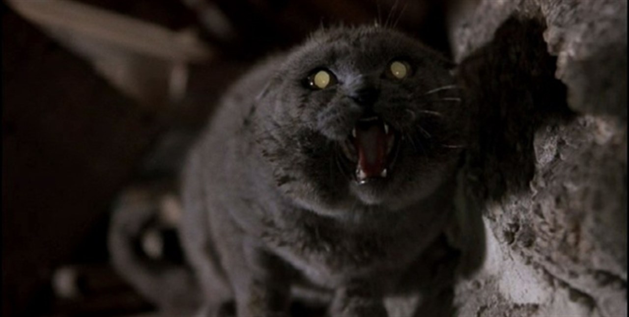 Pet Sematary