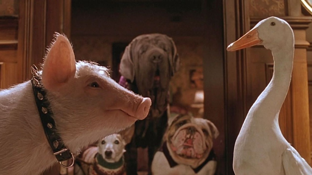 Babe: Pig in the City