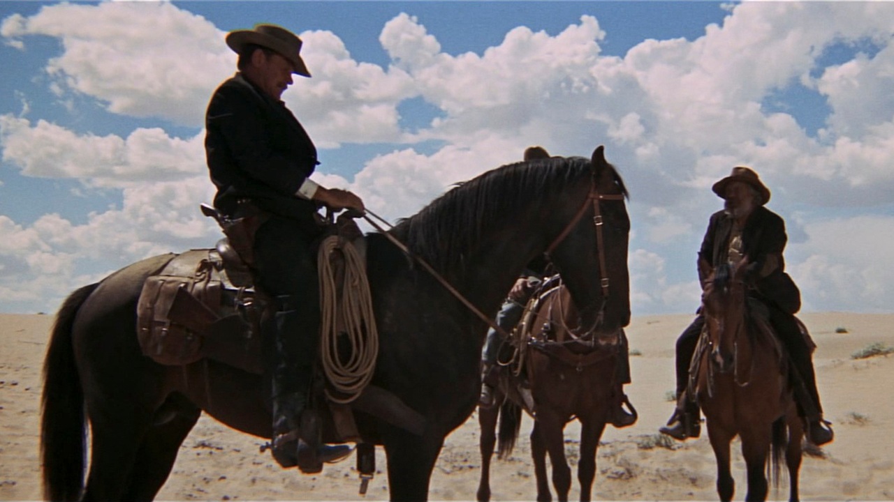 The Wild Bunch