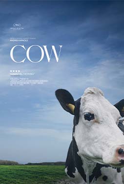 Cow | Discover the best in independent, foreign, documentaries, and genre  cinema from IFC Films. | IFC Films