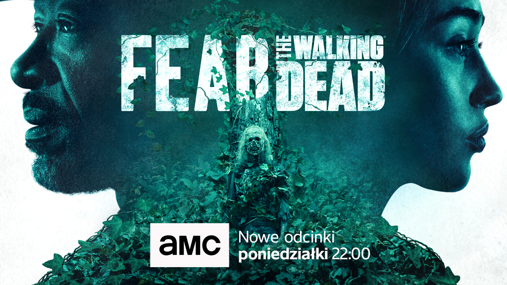 amc program na dziś