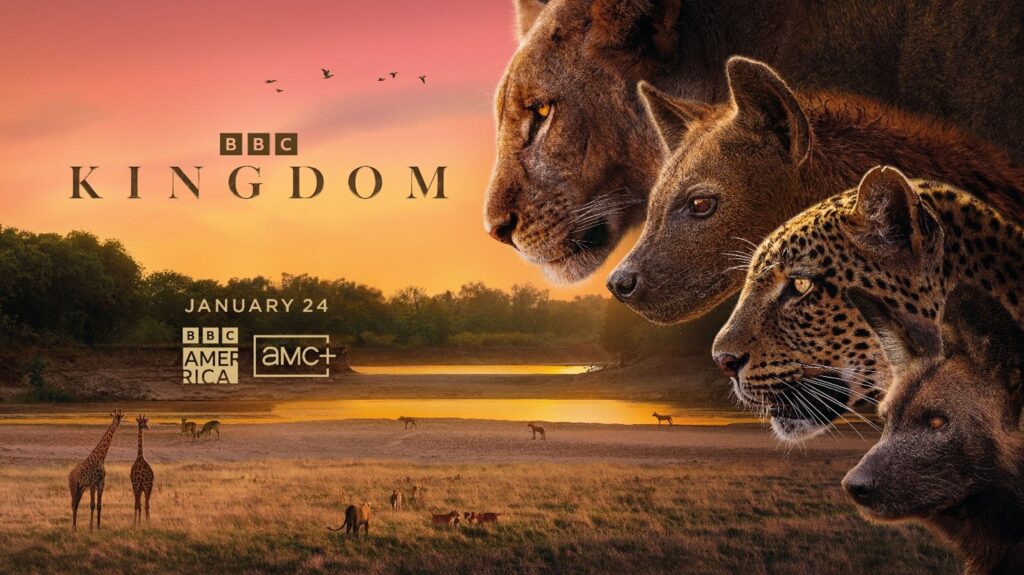 Epic New Landmark Natural History Series, Kingdom, Set To Premiere ...